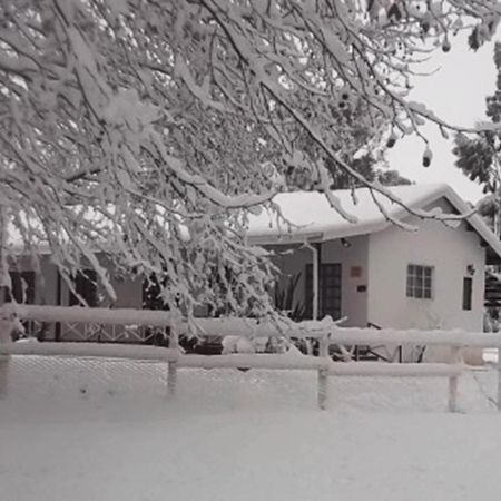 Sycamore Avenue Treehouses & Cottages Accommodation Windy Zimmer foto