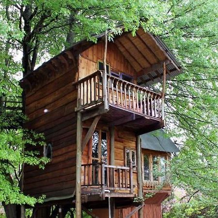 Sycamore Avenue Treehouses & Cottages Accommodation Windy Exterior foto