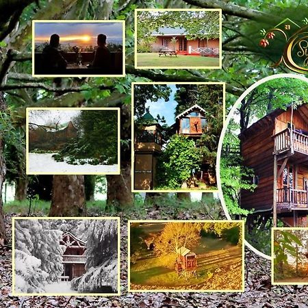 Sycamore Avenue Treehouses & Cottages Accommodation Windy Exterior foto