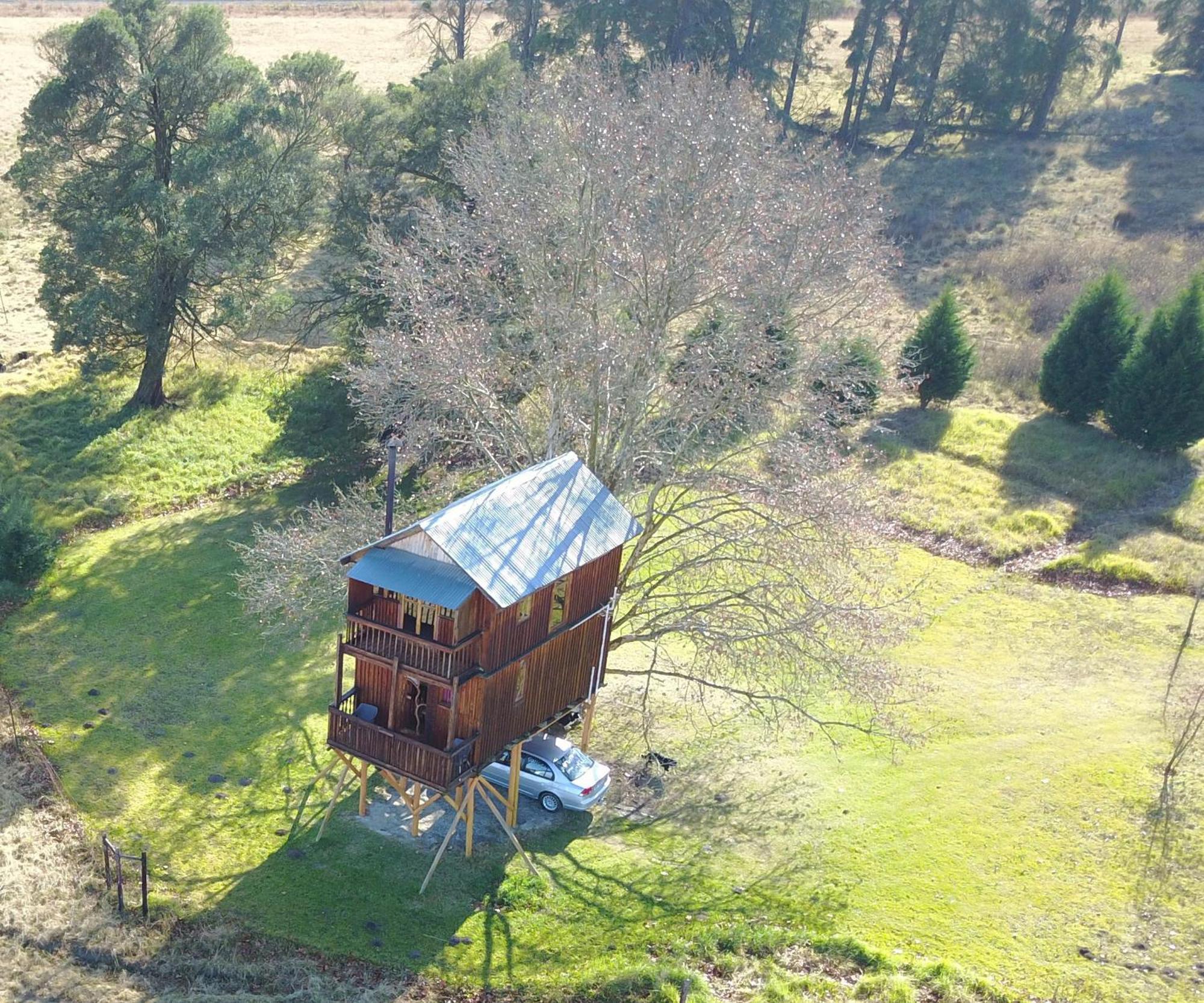 Sycamore Avenue Treehouses & Cottages Accommodation Windy Zimmer foto