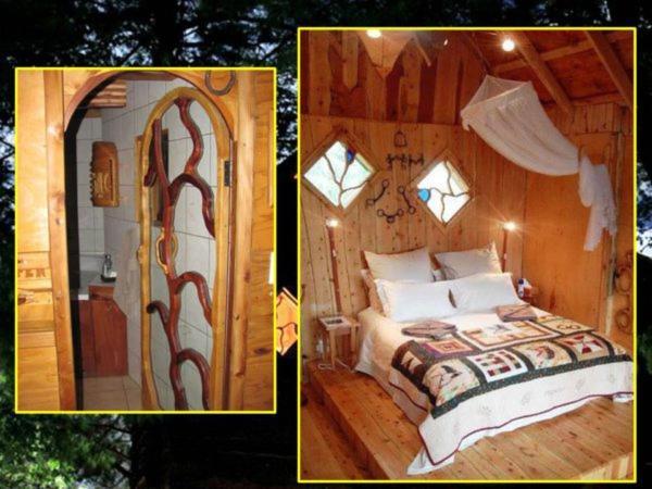 Sycamore Avenue Treehouses & Cottages Accommodation Windy Zimmer foto