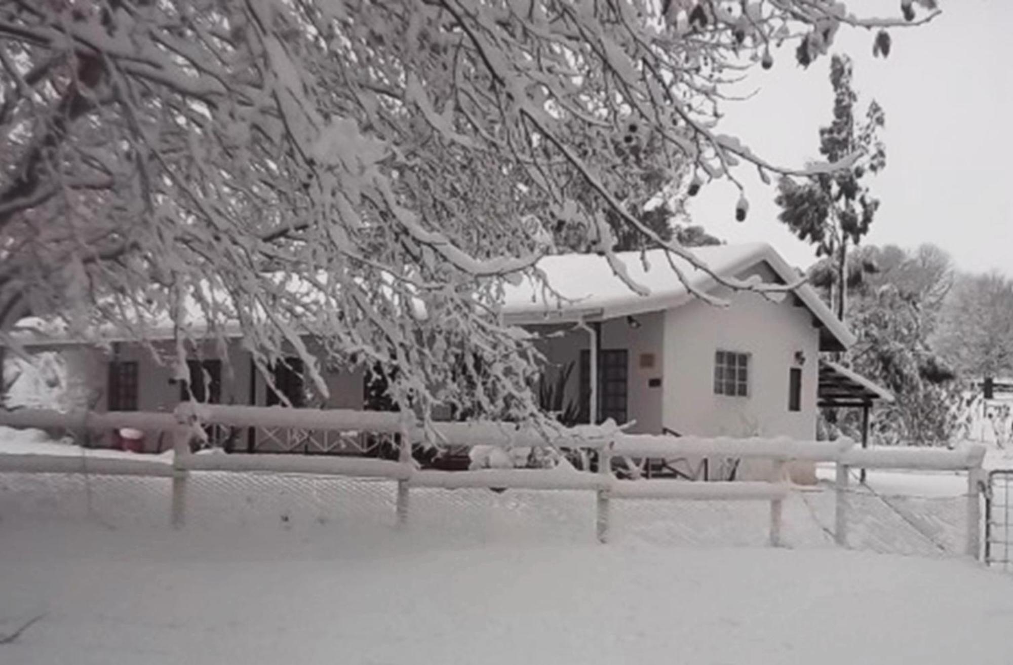 Sycamore Avenue Treehouses & Cottages Accommodation Windy Zimmer foto