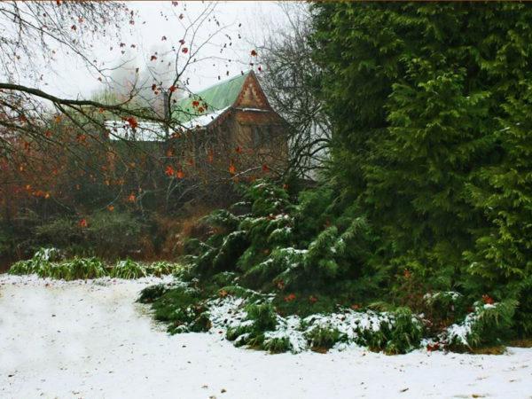 Sycamore Avenue Treehouses & Cottages Accommodation Windy Exterior foto