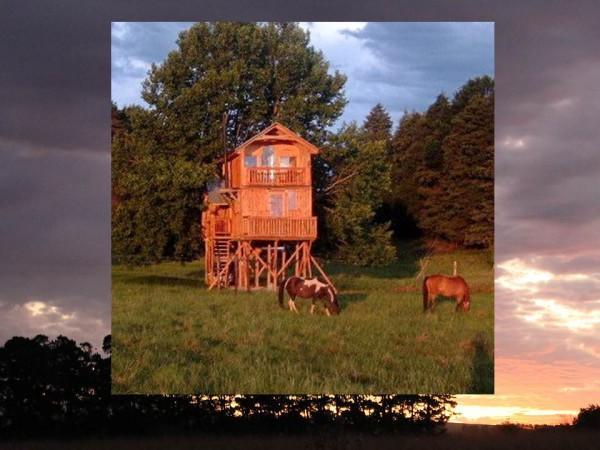 Sycamore Avenue Treehouses & Cottages Accommodation Windy Exterior foto