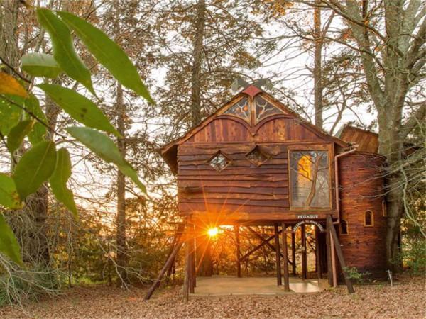 Sycamore Avenue Treehouses & Cottages Accommodation Windy Exterior foto