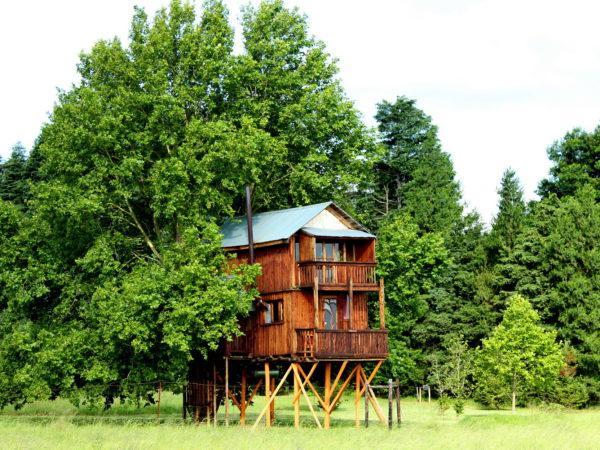 Sycamore Avenue Treehouses & Cottages Accommodation Windy Exterior foto