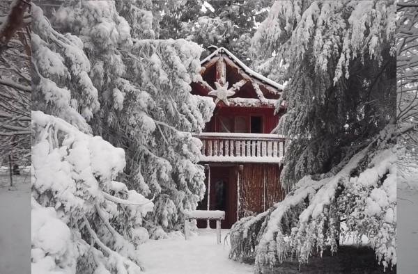 Sycamore Avenue Treehouses & Cottages Accommodation Windy Exterior foto