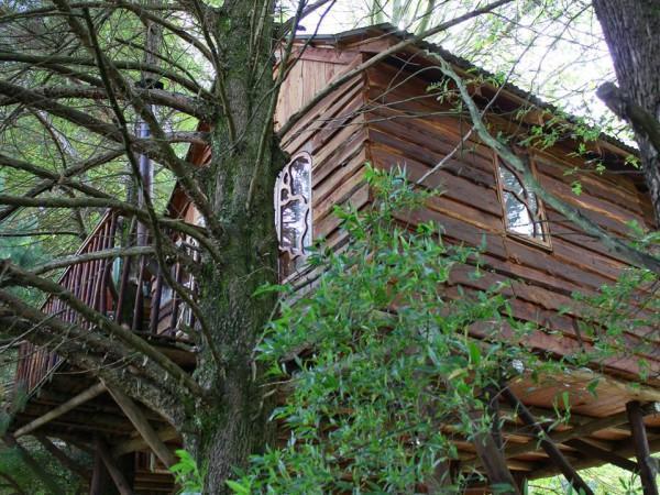 Sycamore Avenue Treehouses & Cottages Accommodation Windy Exterior foto