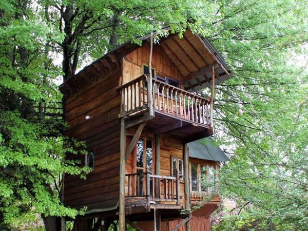 Sycamore Avenue Treehouses & Cottages Accommodation Windy Exterior foto
