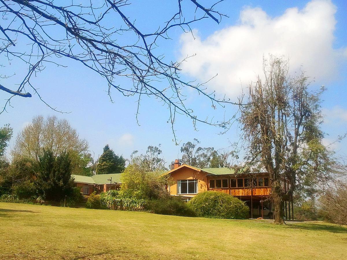 Sycamore Avenue Treehouses & Cottages Accommodation Windy Exterior foto