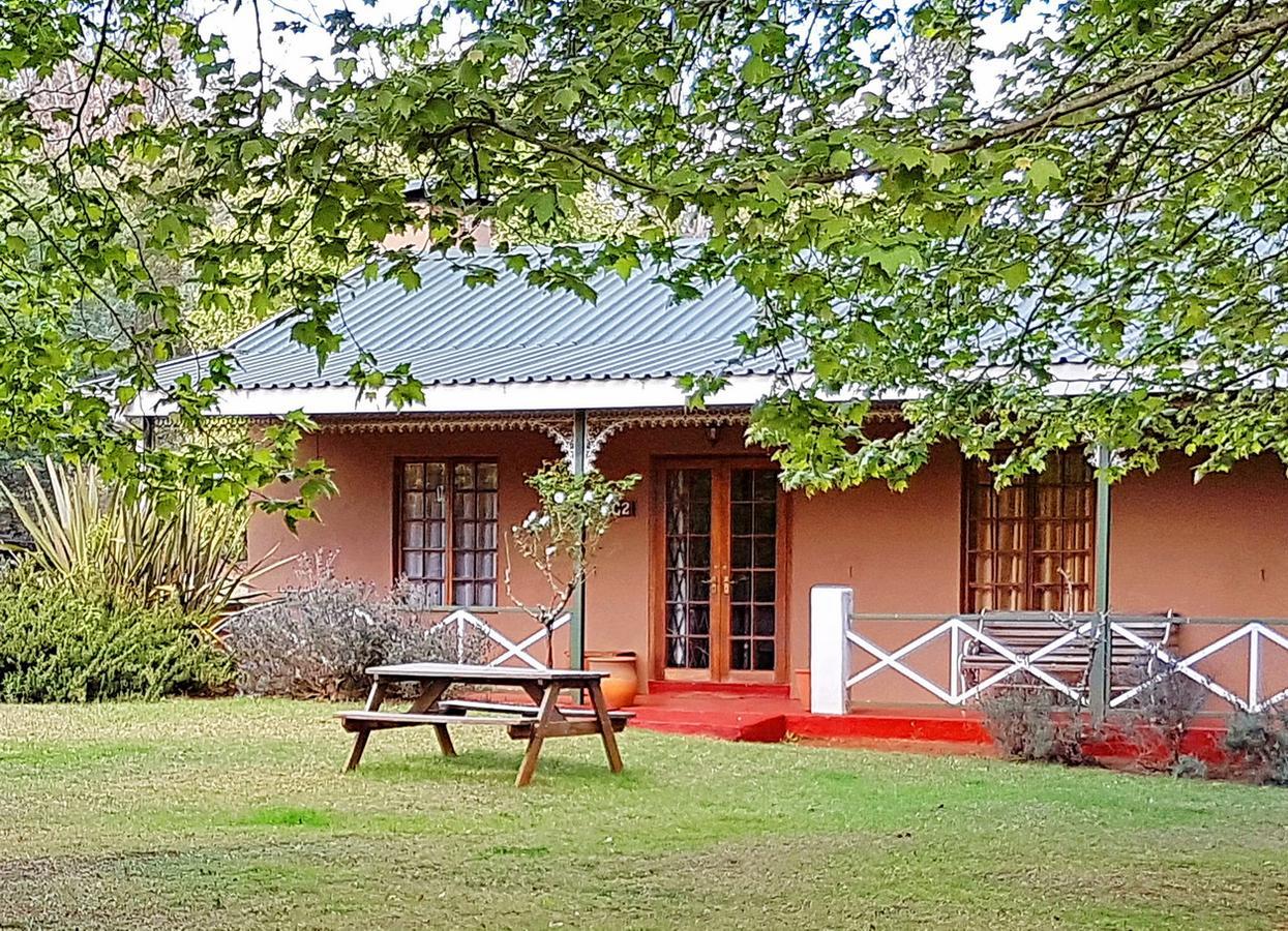 Sycamore Avenue Treehouses & Cottages Accommodation Windy Exterior foto
