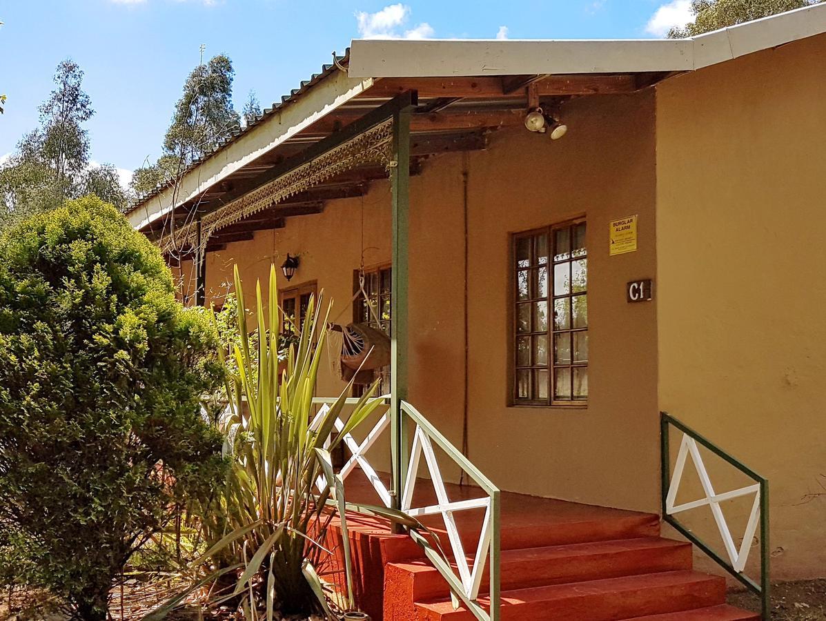 Sycamore Avenue Treehouses & Cottages Accommodation Windy Zimmer foto